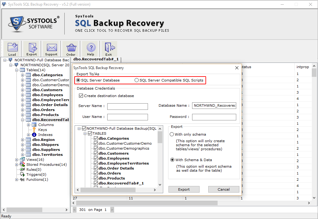 export-option-backup